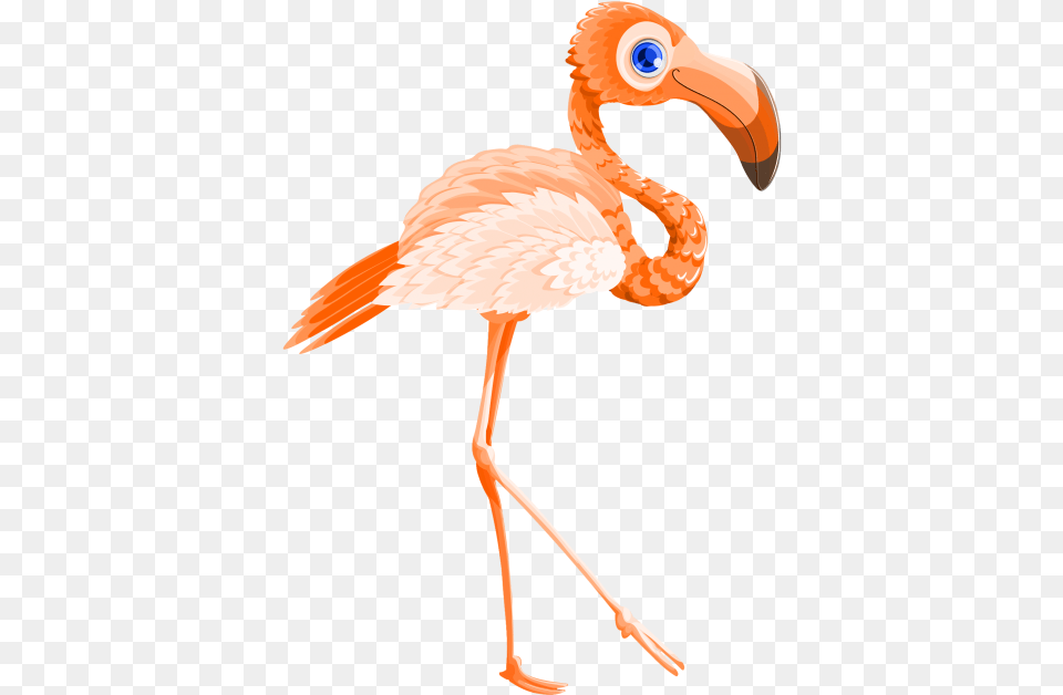 Flamingo Bird Vector Transparent Image Transparent Flamingo Bird Vector, Animal, Beak Png