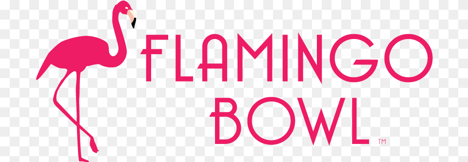Flamingo Bowl Logo, Animal, Bird Free Transparent Png