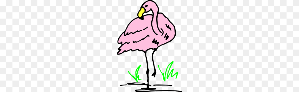 Flamingo Cartoon Art Clip Art For Web, Animal, Beak, Bird, Vulture Free Png Download
