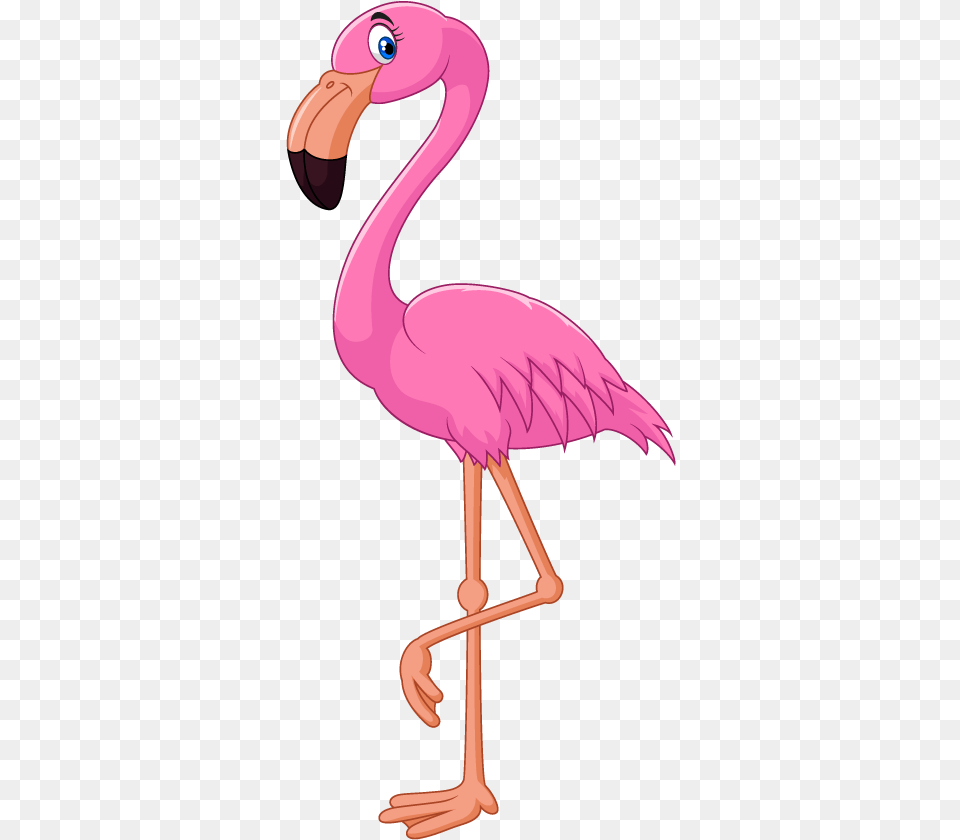 Flamingo Cartoon Clip Art, Animal, Bird Free Png