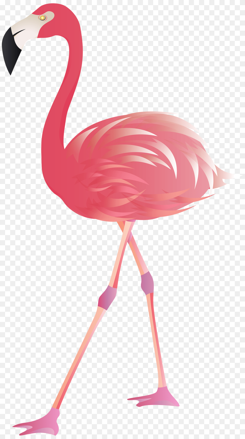 Flamingo Clip Art, Animal, Bird Free Png Download