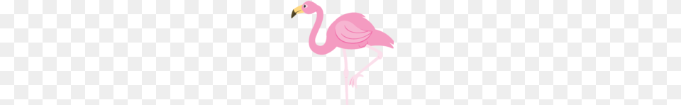 Flamingo Clip Art, Animal, Bird, Person Png Image