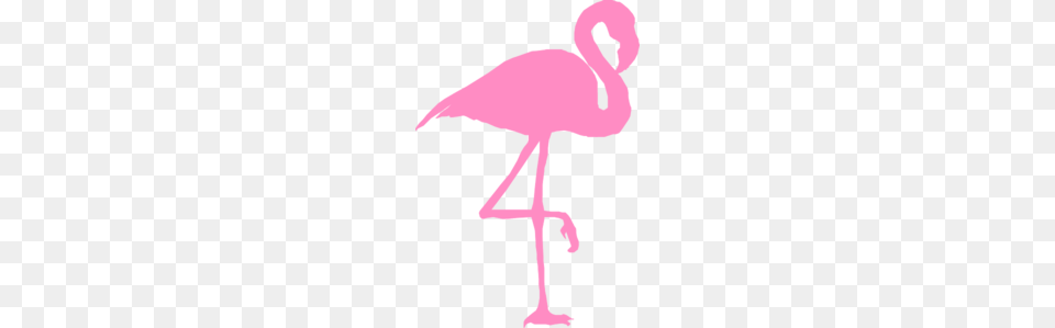 Flamingo Clip Art, Animal, Bird, Person, Cross Png Image