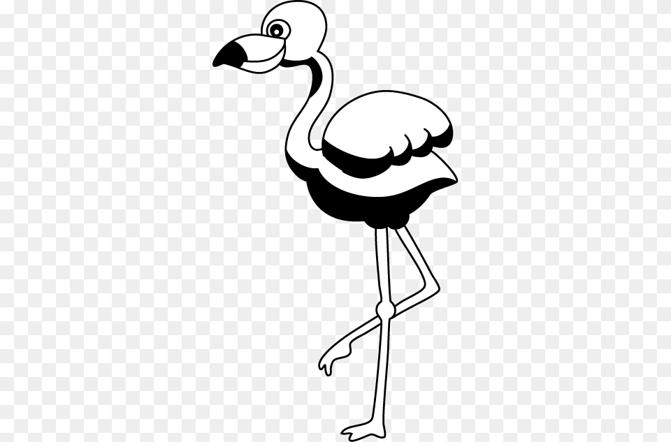 Flamingo Clip Art, Animal, Bird Png