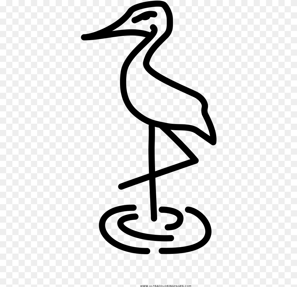 Flamingo Clip Art Black And White, Gray Free Png
