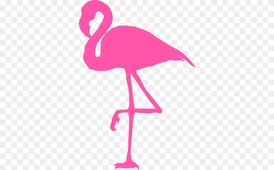 Flamingo Clip Art Don T Give A Flock Svg, Animal, Bird, Person Free Png Download