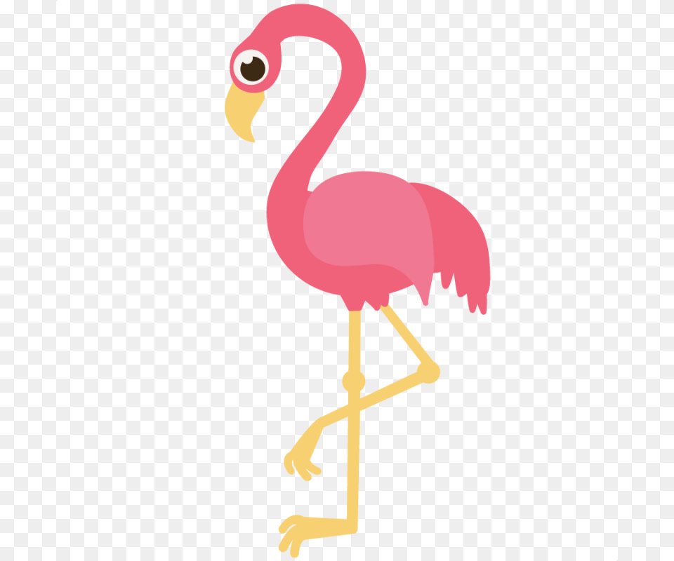 Flamingo Clip Art Molde Flamingo, Animal, Bird Png
