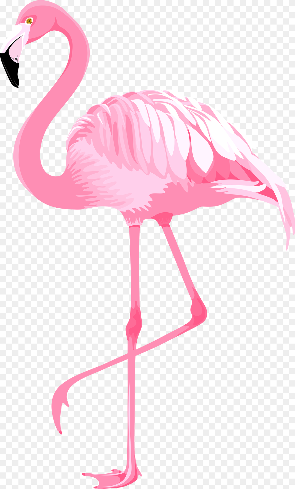 Flamingo Clip Art Pink Clip Art Flamingo, Animal, Bird Free Png Download