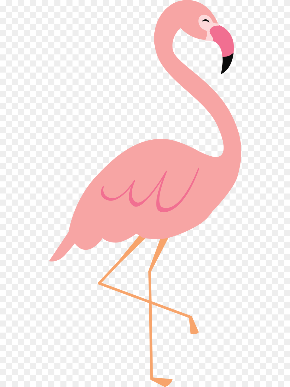 Flamingo Clip File Clip Art Flamingo, Animal, Bird, Adult, Female Free Png Download