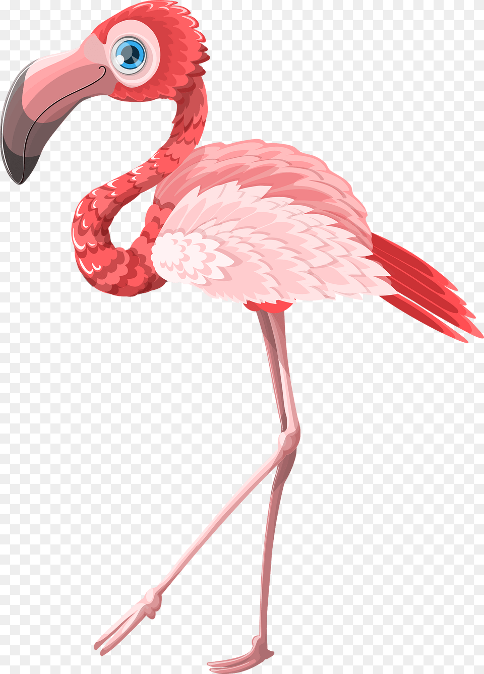 Flamingo Clipart, Animal, Beak, Bird Free Png