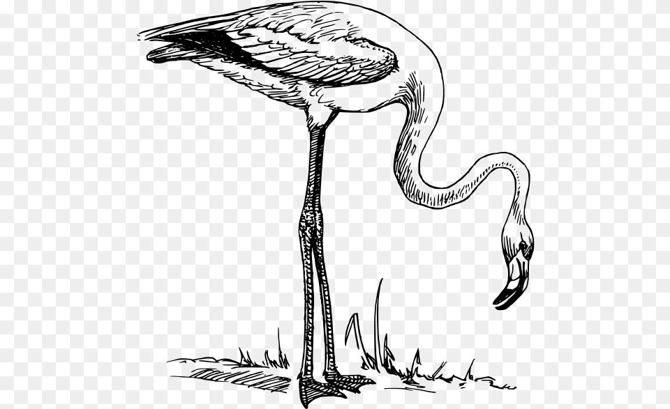 Flamingo Clipart, Gray Png