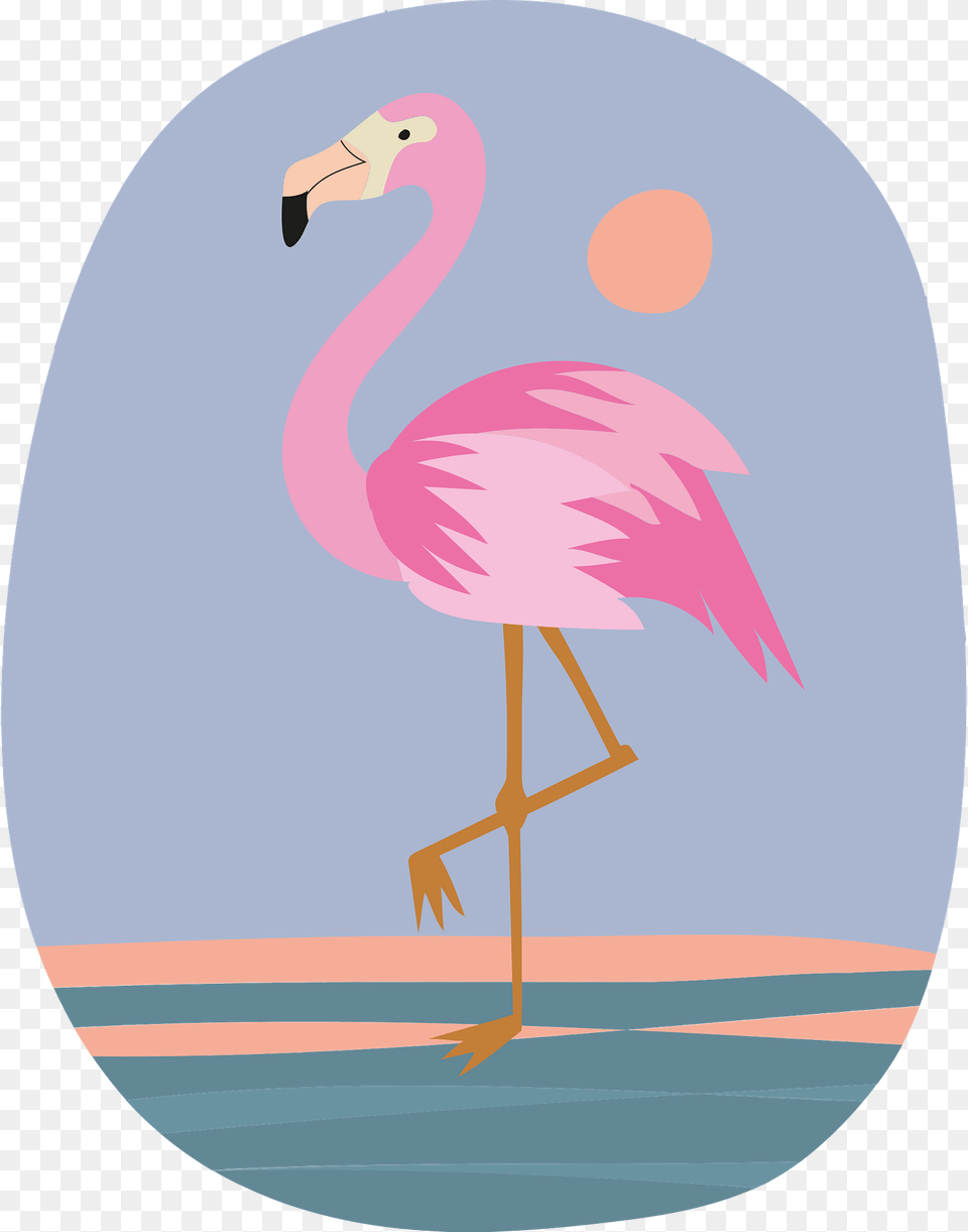 Flamingo Clipart, Animal, Bird Png Image