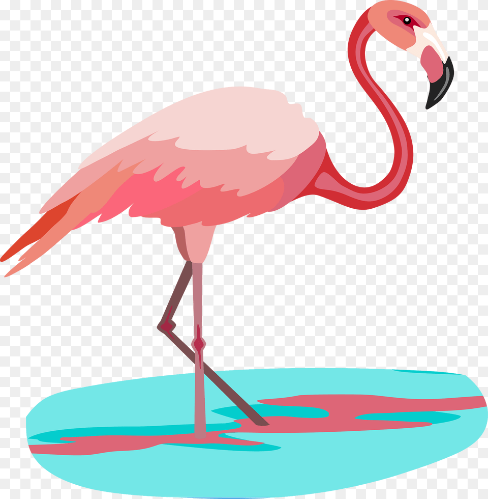 Flamingo Clipart, Animal, Bird, Beak, Fish Png Image