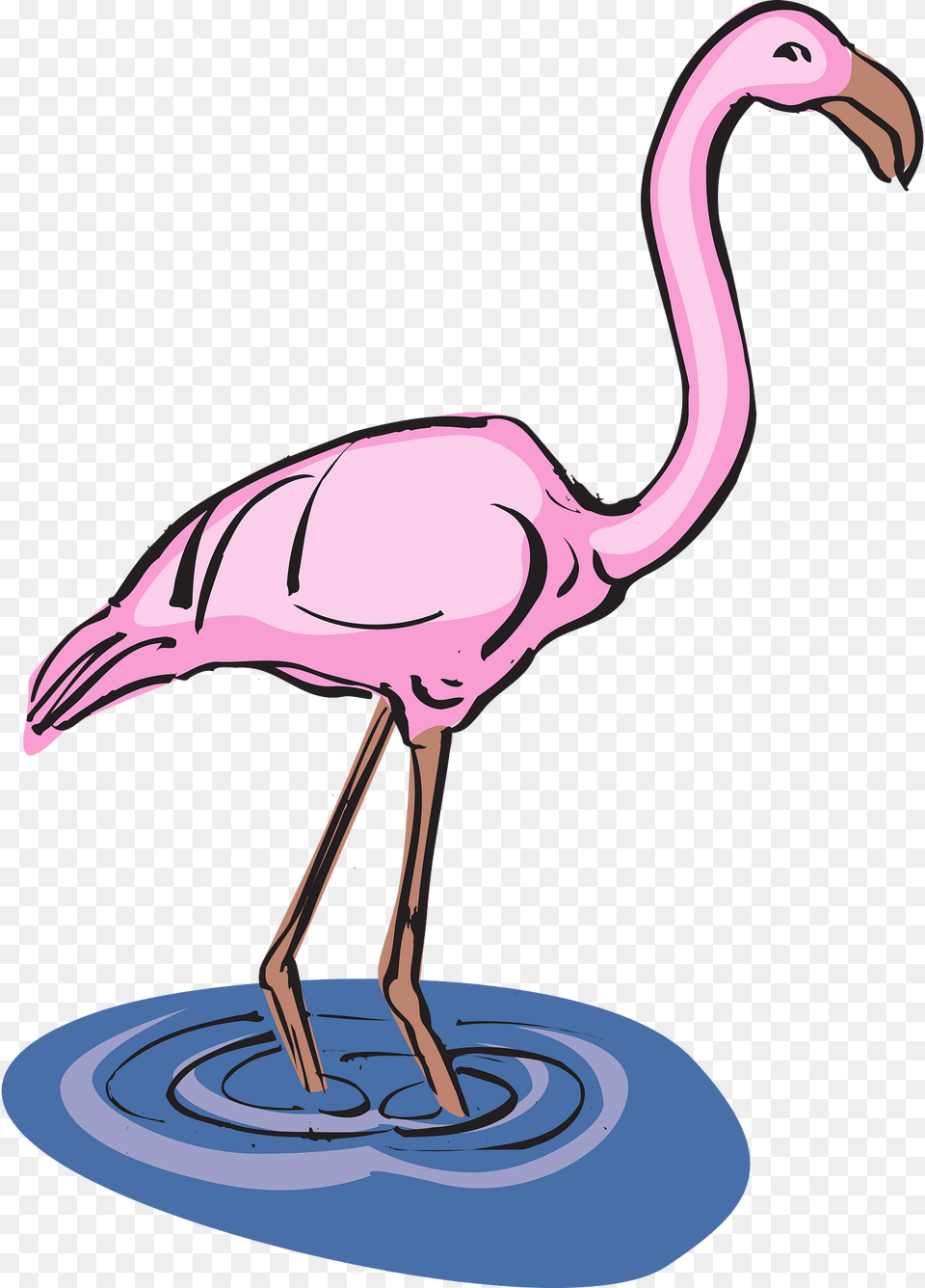 Flamingo Clipart, Animal, Bird, Person, Beak Free Transparent Png