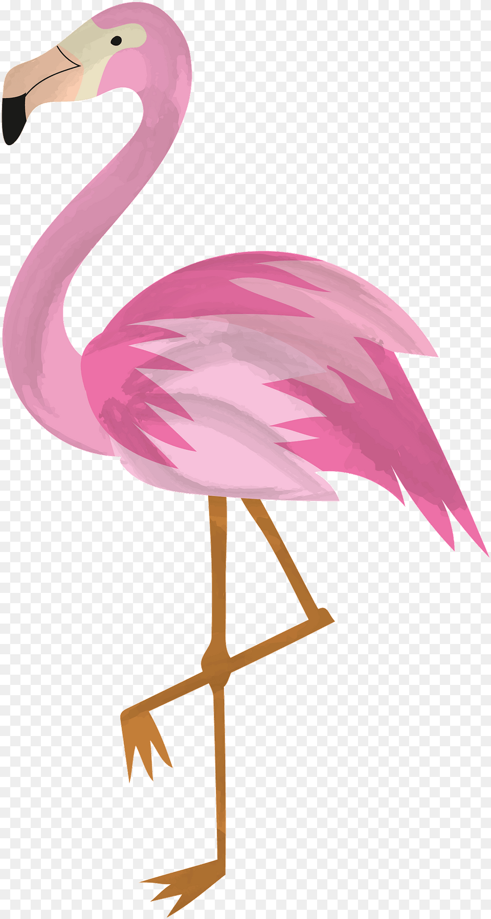 Flamingo Clipart, Animal, Bird Png Image