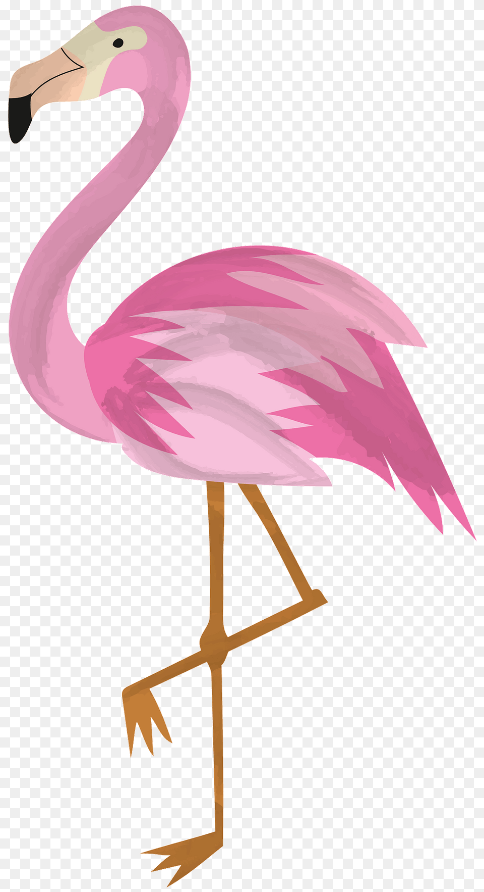 Flamingo Clipart, Animal, Bird, Fish, Sea Life Png