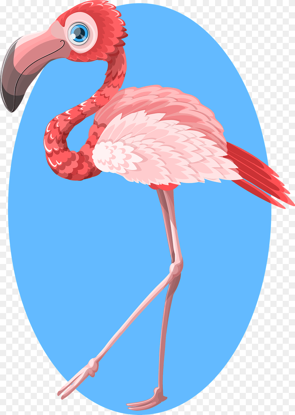 Flamingo Clipart, Animal, Beak, Bird, Fish Free Png Download