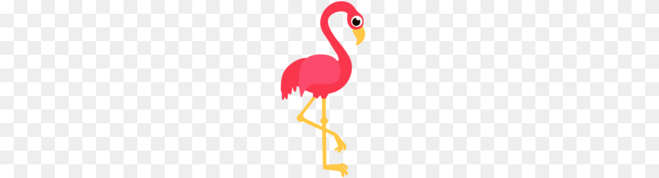Flamingo Clipart, Animal, Bird Free Png Download