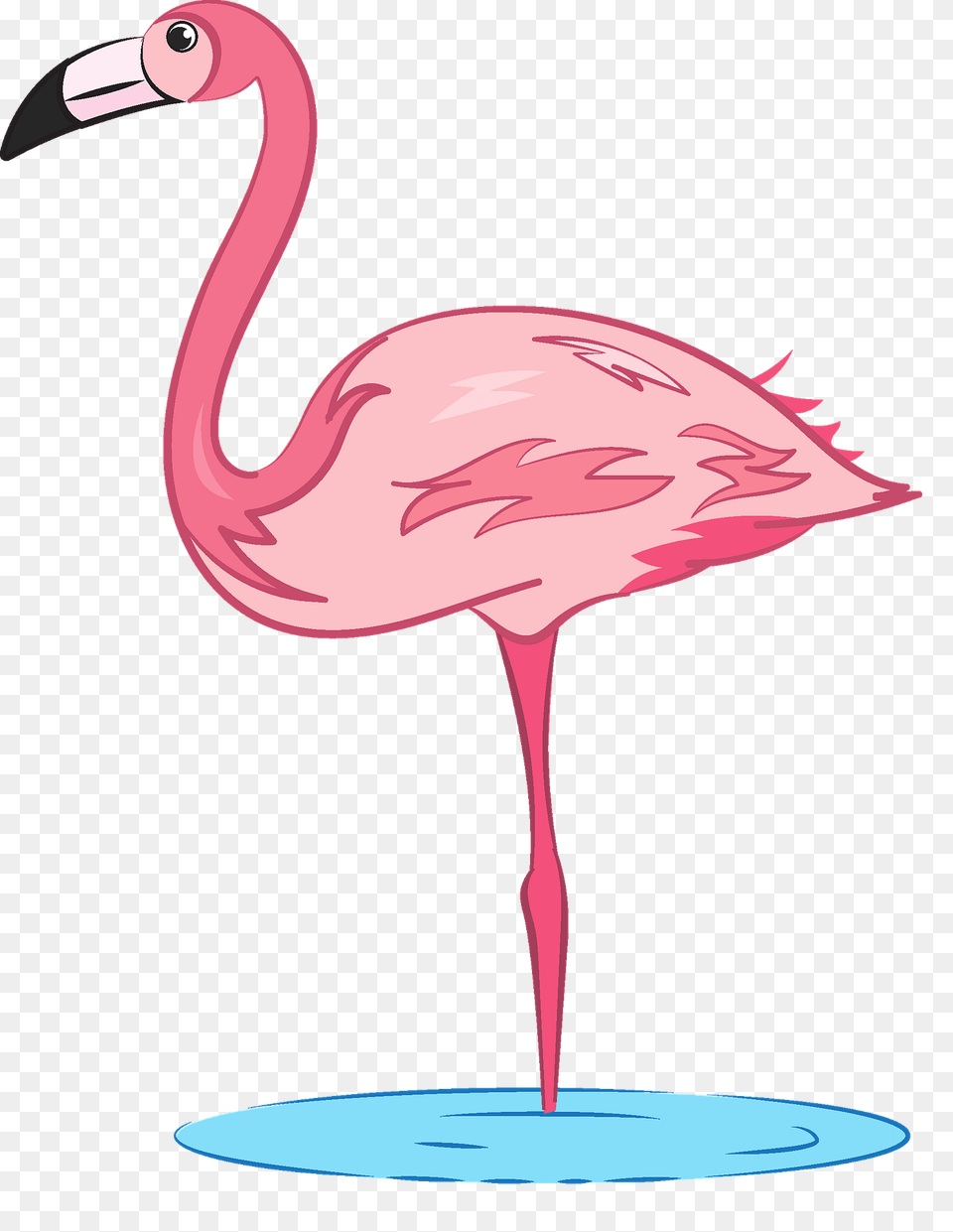 Flamingo Clipart, Animal, Bird, Fish, Sea Life Png