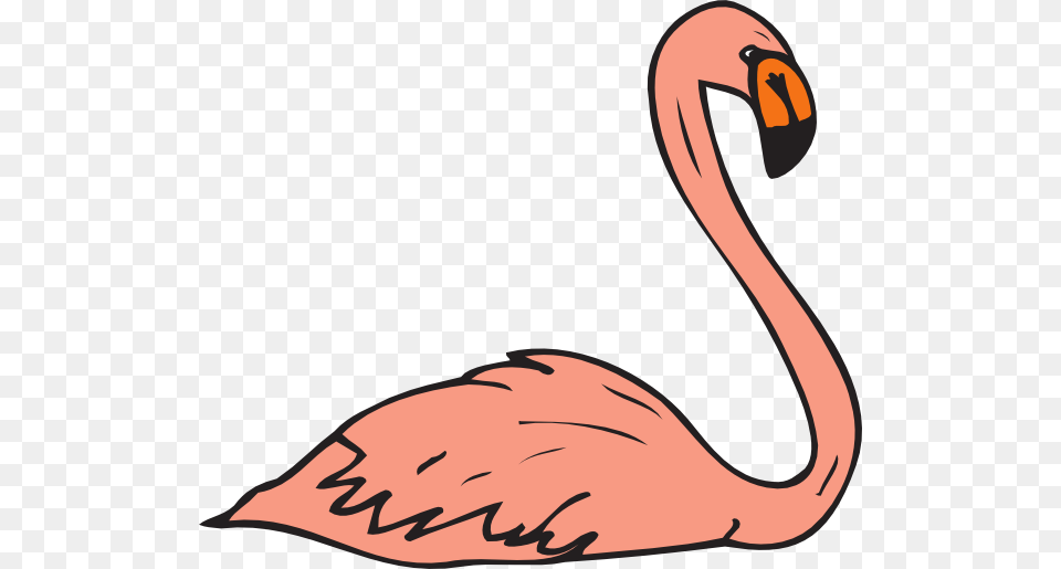 Flamingo Clipart, Animal, Beak, Bird Free Png