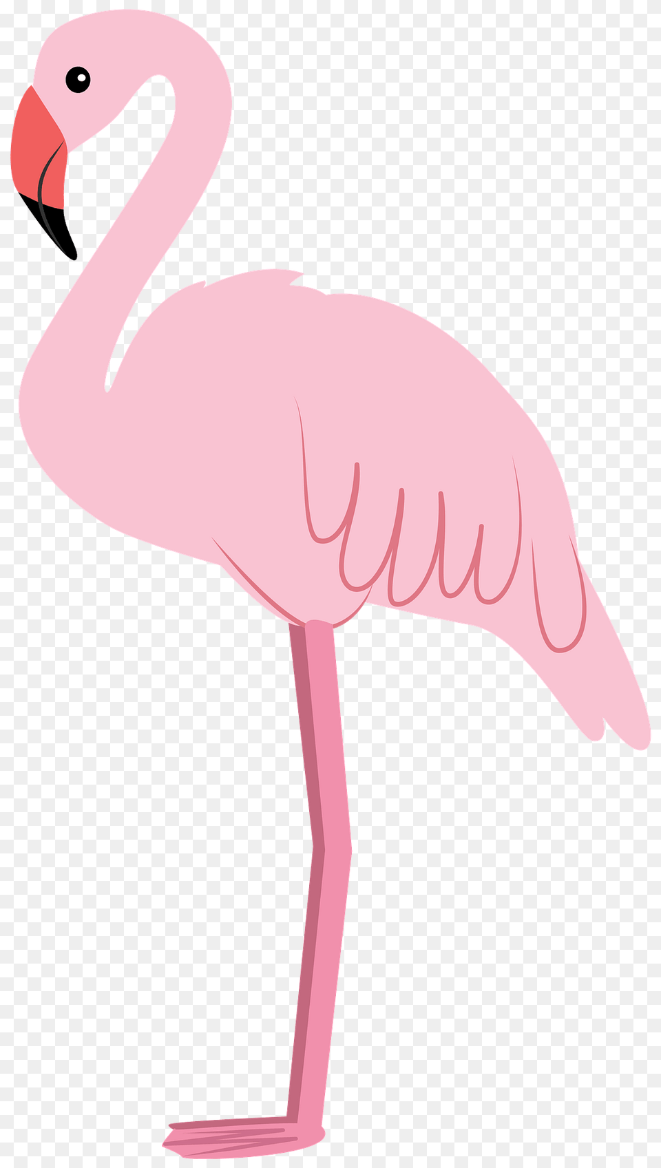 Flamingo Clipart, Animal, Bird, Fish, Sea Life Free Transparent Png