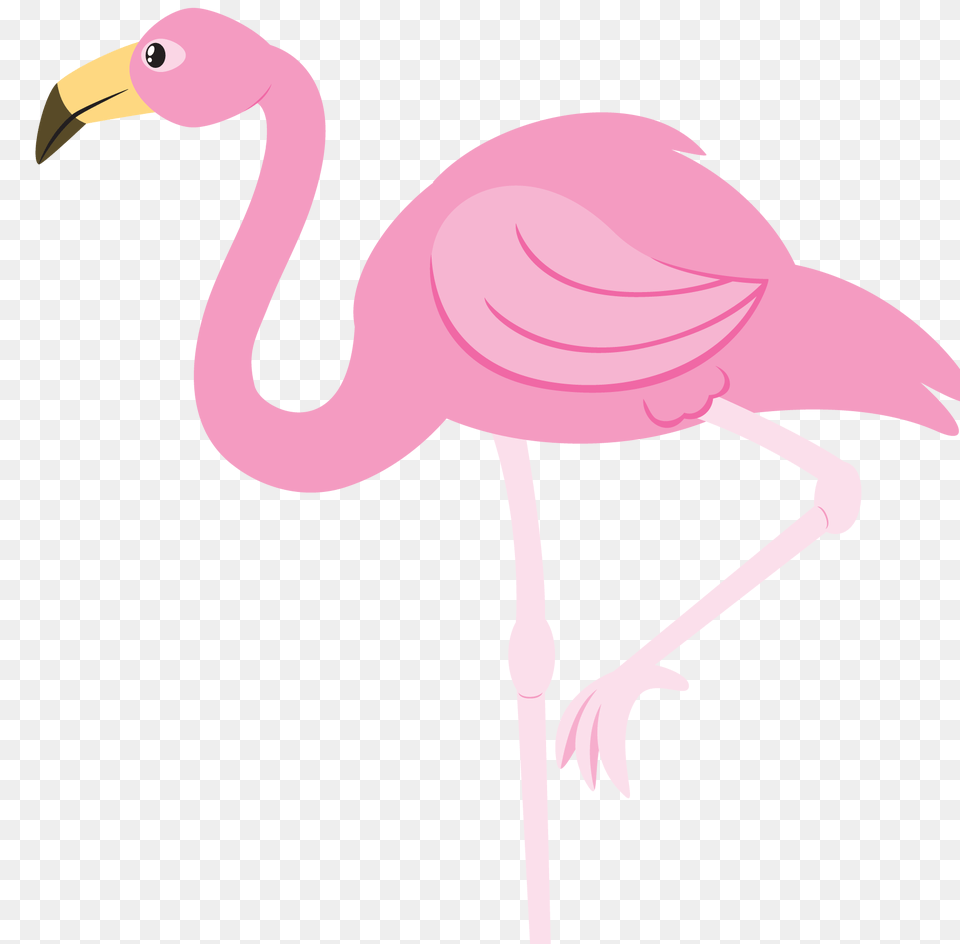 Flamingo Clipart Animal, Bird Free Transparent Png
