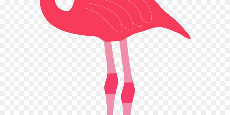 Flamingo Clipart Background Clip Art, Animal, Bird, Adult, Female Png Image