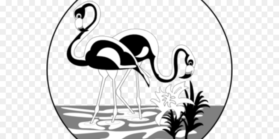 Flamingo Clipart Black And White, Animal, Stencil, Bird Free Png