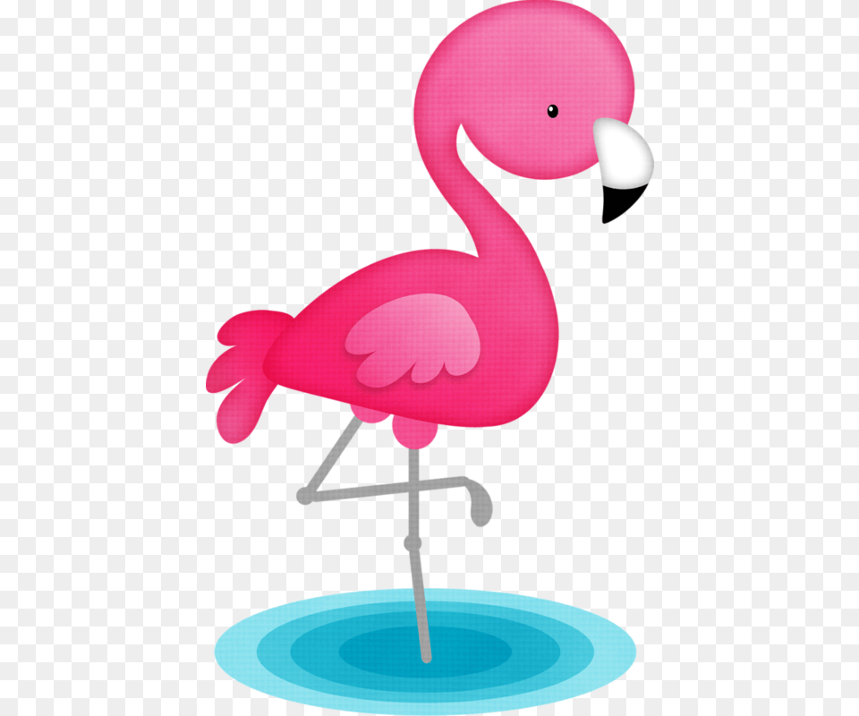 Flamingo Clipart Clip Art, Animal, Bird Png