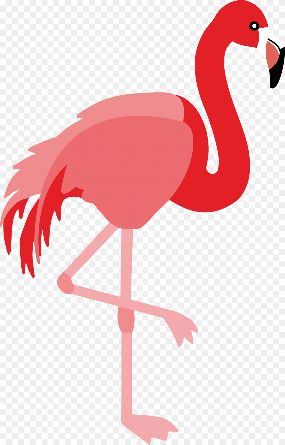 Flamingo Clipart Clipart Flamingo Clipart, Animal, Bird, Person, Cross Free Png