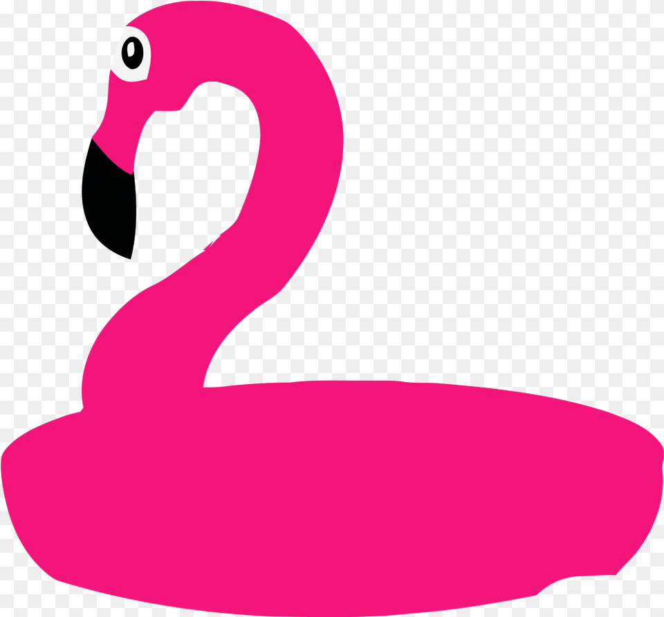 Flamingo Clipart Ducks Geese And Swans Water Water Bird, Animal, Swan Png Image