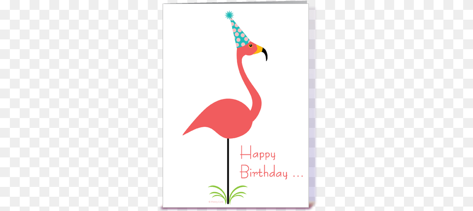 Flamingo Clipart Happy Birthday, Clothing, Hat, Animal, Bird Png Image