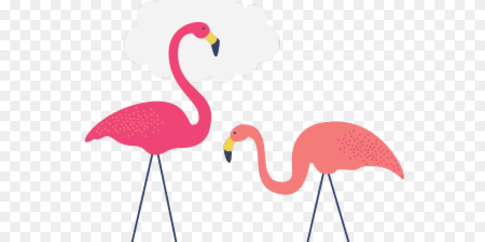 Flamingo Clipart Kawaii Flamingo, Animal, Bird, Baby, Person Free Png