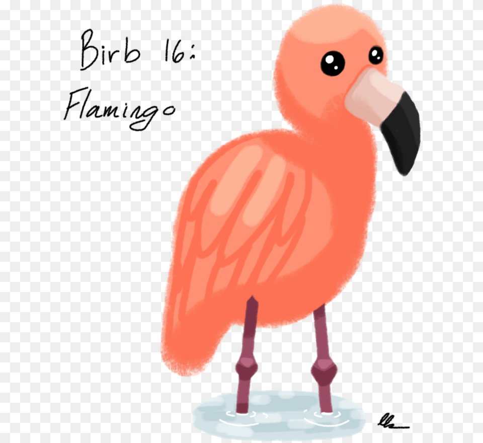 Flamingo Clipart Kawaii Turkey, Animal, Beak, Bird Png Image