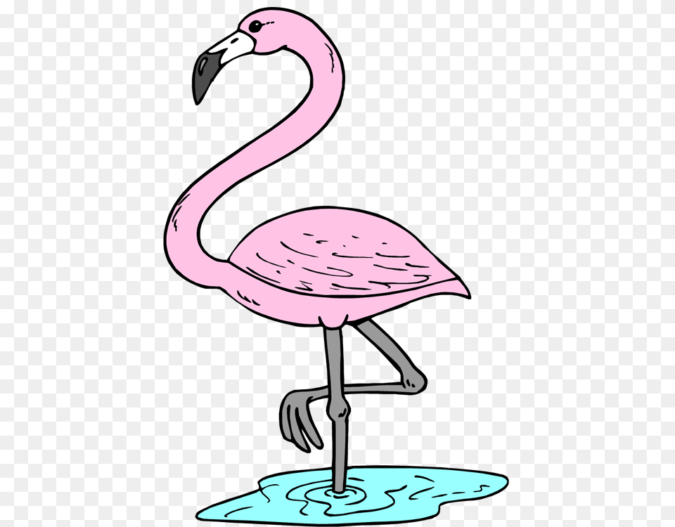 Flamingo Clipart Luau, Animal, Bird, Beak Free Png
