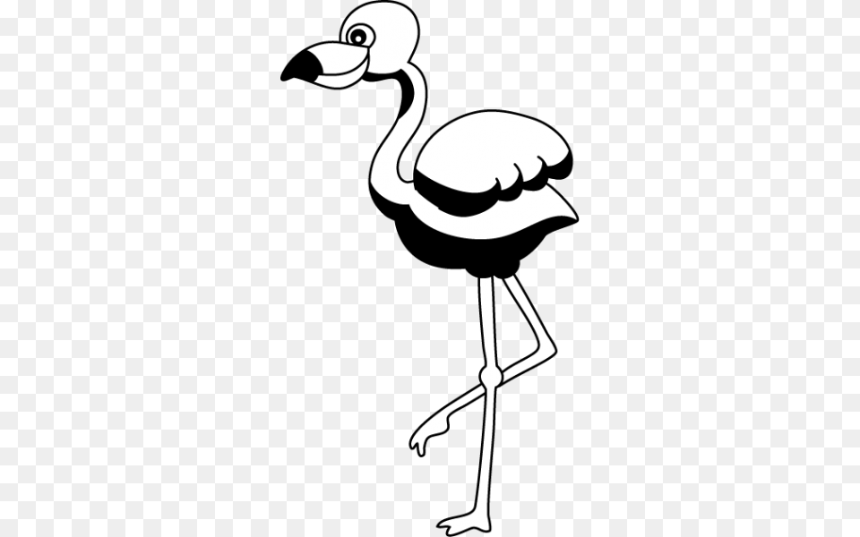 Flamingo Clipart Nice Clip Art, Animal, Bird, Waterfowl, Crane Bird Free Png