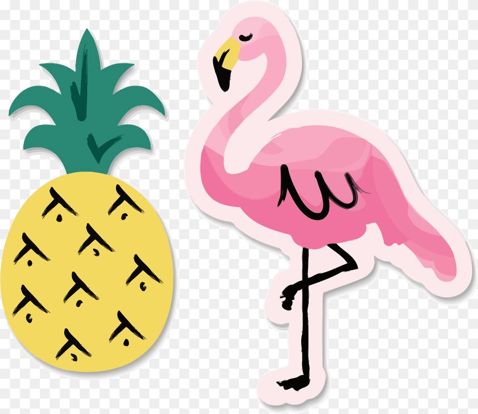 Flamingo Clipart Pumpkin, Animal, Bird, Person, Head Free Transparent Png
