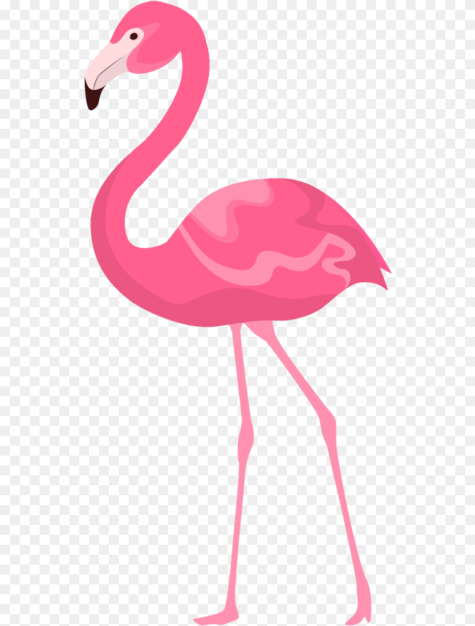 Flamingo Clipart Quotes Flamencos Rosados En Una Pata, Animal, Bird Free Png Download