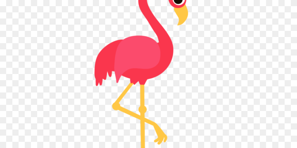 Flamingo Clipart Transparent Background, Animal, Bird, Person Png