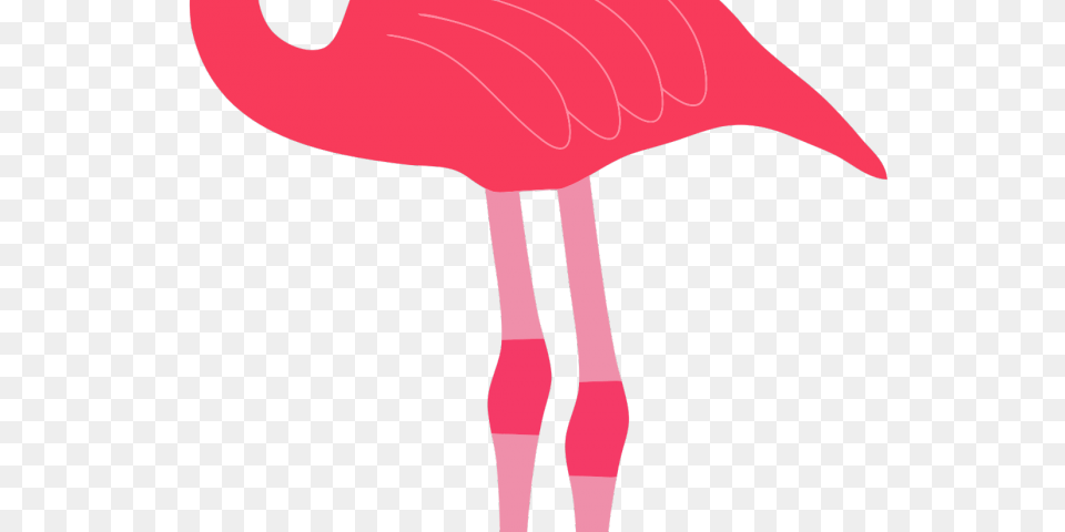 Flamingo Clipart Background, Animal, Bird, Adult, Female Free Transparent Png