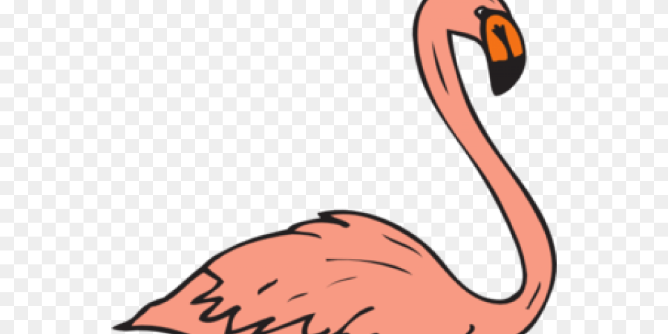 Flamingo Clipart Vector Throw Blanket, Animal, Beak, Bird, Person Free Transparent Png