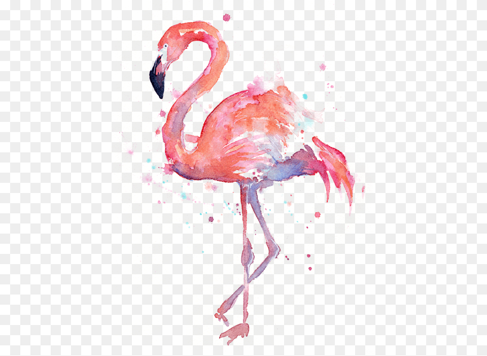Flamingo Clipart Watercolor Transparent Flamingo Watercolor Painting, Animal, Bird, Person Free Png Download
