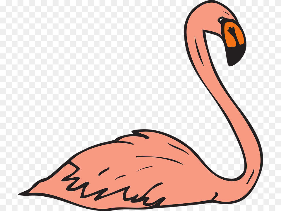 Flamingo Clipart Wings, Animal, Beak, Bird Free Png