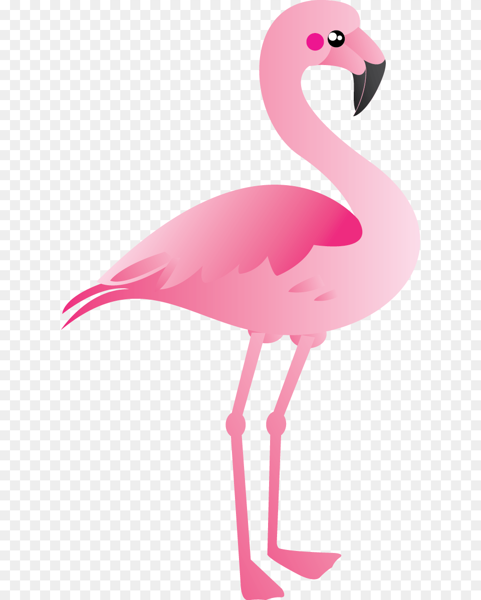 Flamingo Clipart Zoo, Animal, Bird Free Png Download