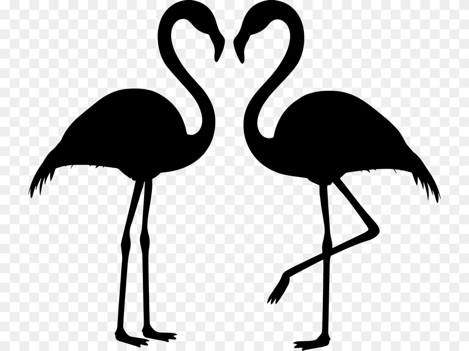 Flamingo Couple Silhouette Flamingos Love Bird Svg Flamingo Svg, Gray Free Png Download