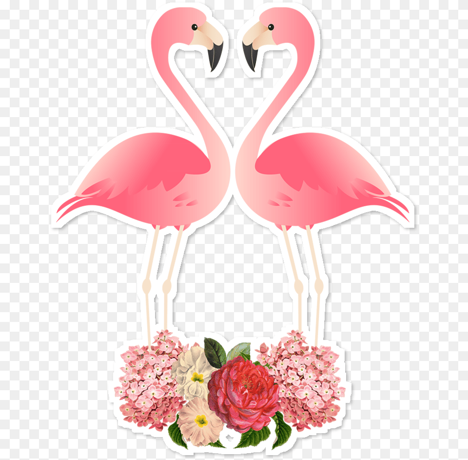 Flamingo Cut, Animal, Bird, Flower, Plant Png Image