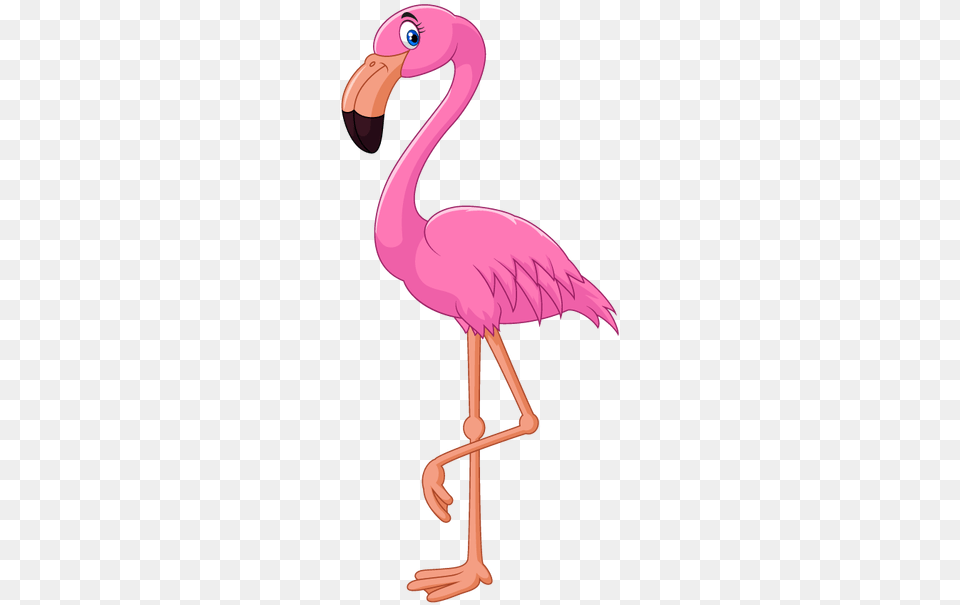 Flamingo Download Clipart Flamingo, Animal, Bird Png Image