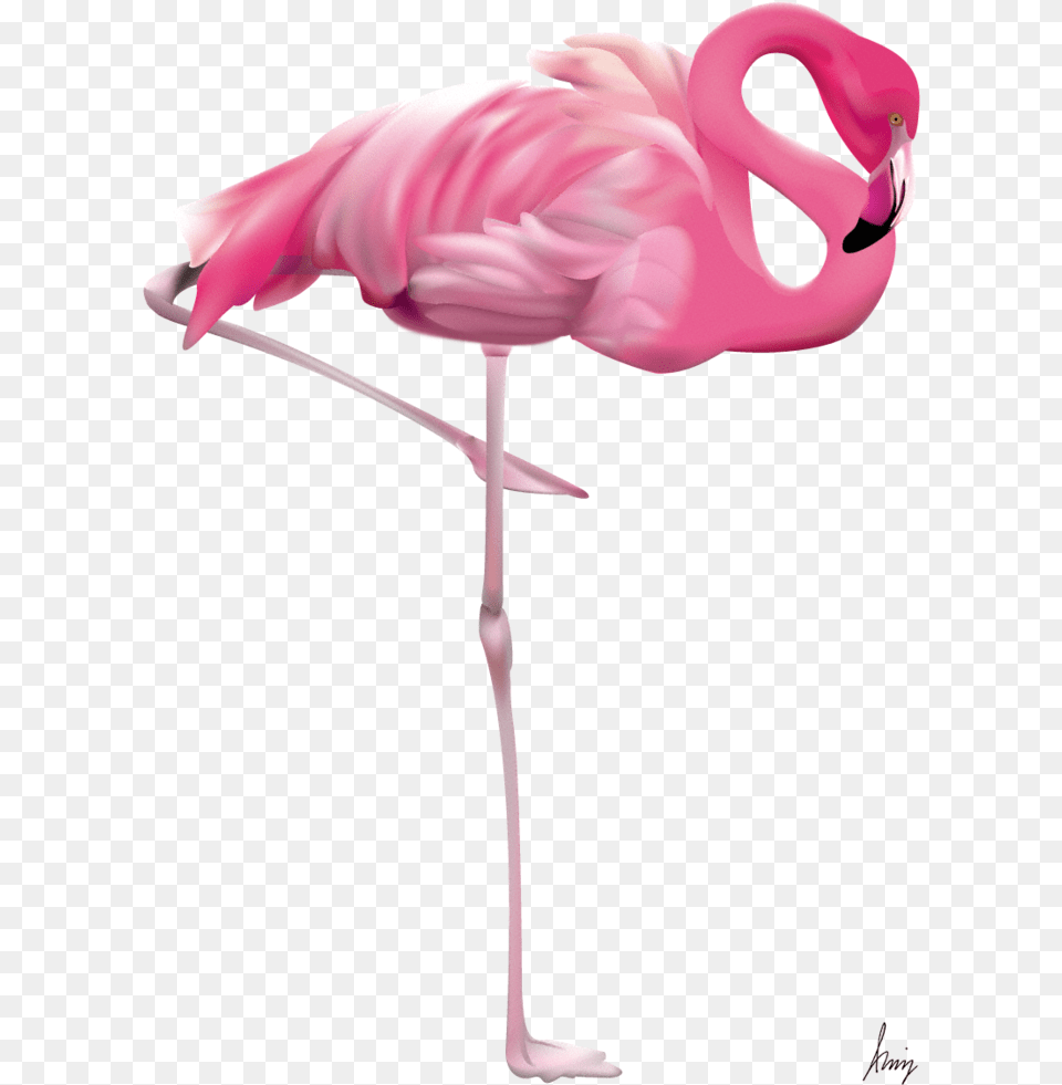 Flamingo Em Flamingo Art, Animal, Bird Png Image