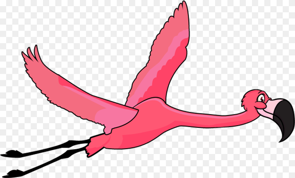 Flamingo Filter Greater Flamingo, Animal, Beak, Bird, Flying Free Png