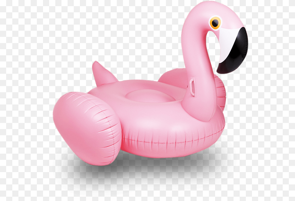 Flamingo Floats Flamingo Float, Inflatable, Animal, Bird Free Transparent Png
